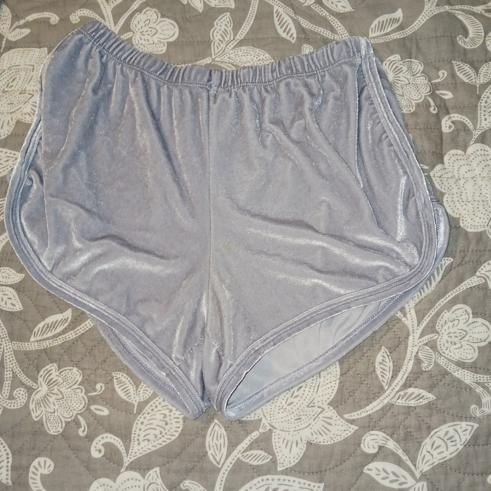 Brandy Melville Velvet Shorts